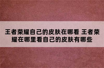 王者荣耀自己的皮肤在哪看 王者荣耀在哪里看自己的皮肤有哪些